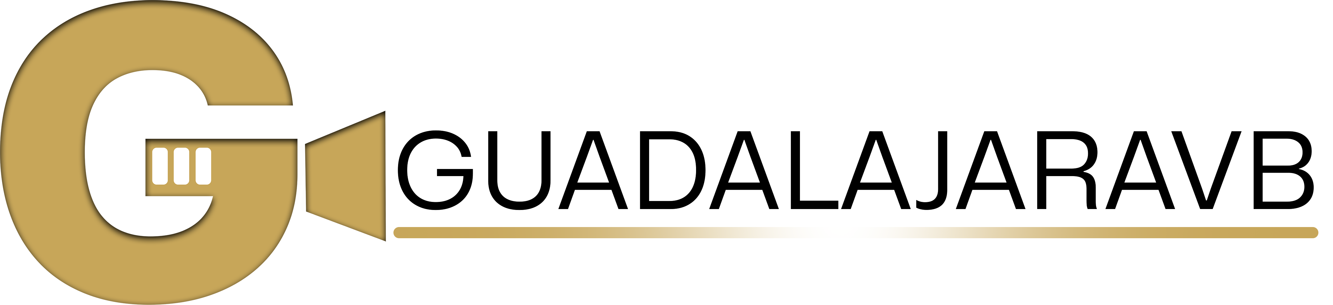 logo with text guadalajaravb - logo with text